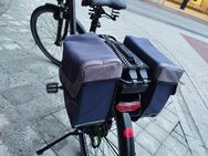 E-Bike, Hercules, 2300 Kilometer, - Hage