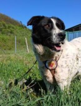 Hier Ist Lilly. - München