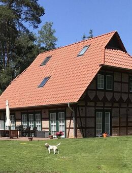 Modernes Fachwerkhaus in bevorzugter Wohnlage - Gifhorn