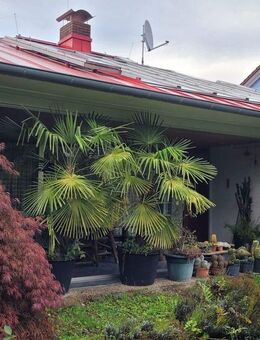 Bungalow in grüner Toplage - Karlsruhe