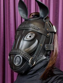Ledermaske, Leather Mask, Pony, Horse, Pferdemaske, Gaulmaske, Photorealistic - Duisburg