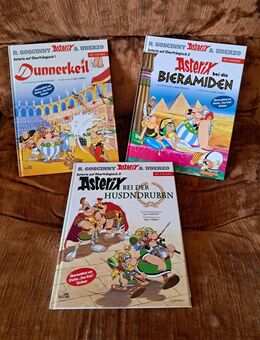 Asterix & Obelix 3 Bände jetzt auch in "Oberfränkisch" gebunden, NEU und ungelesen!!! - Bad Salzschlirf
