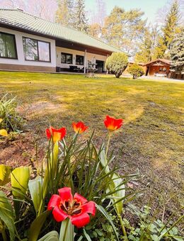 Wohnen: Bungalow in Alleinlage mit Garage & Einliegerwohnung im Grünen auf 2.161 qm GST im Grünen - Tantow
