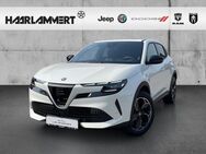 Alfa Romeo Junior, SPECIALE, Jahr 2022 - Hasbergen