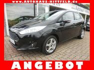 Ford Fiesta 1.0 *Titanium* 5-tür Klima Alu HUneu 1.Hd - Seevetal