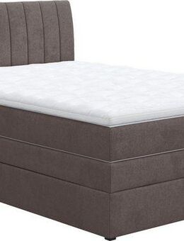 COTTA Boxspringbett Shark inkl. Bettkasten und Topper, erhältlich in den Breiten 140x200cm, 160x200cm und 180x200cm