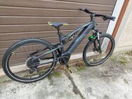 Mountainbike Raymon FullRay 130E 4,0 29 Zoll Top Zustand - Dessau-Roßlau