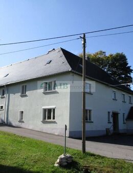 Großes Wohnhaus mit Scheune ***Für Selbstversorger, Hobbybauern, Naturfreunde*** - Pfaffroda
