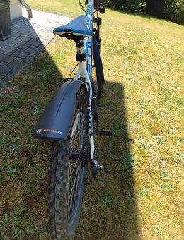 Buls-Wildtail - Damen - Rad Selten gefahren - Aichach