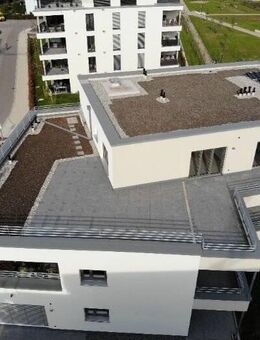 3.5-Penthouse-Wohnung mit riesiger Dachterrasse & Einbauküche / MEHRGENRATIONENWOHNEN - Riedpark Lauchringen - Lauchringen