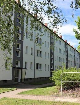 Jetzt entdecken! Der Sommer wohnt in Altendorf... - Chemnitz