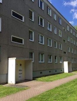 Familienfreundliche 3-Zimmer-Wohnung in ruhiger Wohnlage - Kassel