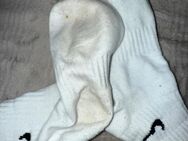 Getragene Socken Größe 39 …. - Hagen (Stadt der FernUniversität)