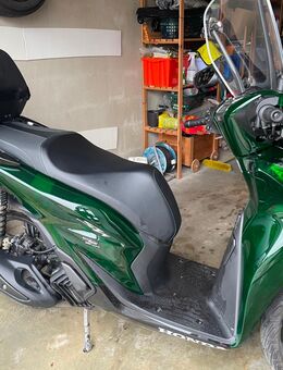 Honda SHi 125 Grün - Velden (Regierungsbezirk Niederbayern)