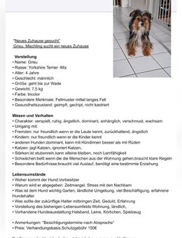 Neues Zuhause gesucht - Hohe Börde