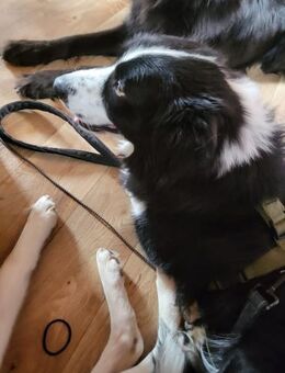 ARKANI - klar geregelten Alltag erleben - Overath