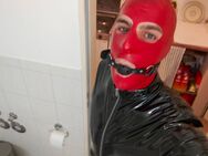 Suche Dom master mit Latex - Göttingen