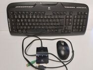 PC-Funk-Tastatur v. Logitech - Simbach (Inn) Zentrum