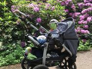 NATURKIND VARIUS PRO KINDERWAGEN / BUGGY / SPORTWAGEN - Berlin Mitte