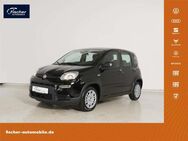 Fiat Panda, 1.0 GSE Hybrid, Jahr 2024 - Pilsach