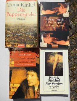 Historisches, historische Romane, Bestseller: 25 Bücher zusammen 4,- - Flensburg