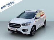 Ford Kuga, 1.5 EcoBoost ST-Line (DM2 2012), Jahr 2018 - Bingen (Rhein)