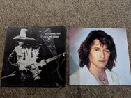 ⭐Peter Maffay - Ich Will Leben Vinyl LP wie NEU! ⭐ - Schwalmstadt Zentrum