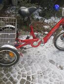 Alu - Marken - Elastic E-Dreirad ( Velo - Trike ) in 82110