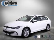 VW Golf Variant, 2.0 TDI Golf VIII Life, Jahr 2024 - Brandis