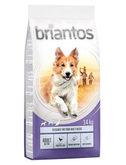 Briantos Sparpaket (2 x Großgebinde) - Adult Active (2 x 14 kg)