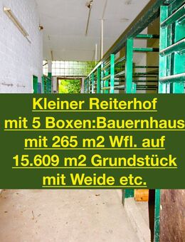 PREISREDUZIERUNG!!!!!! Bauernhof - mit xxl Areal - Bauland - Halle - Stall -Teich etc - Hasloh