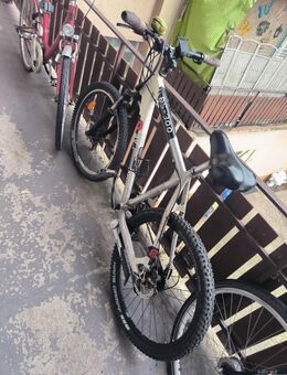 26er Mountainbike - Wesel