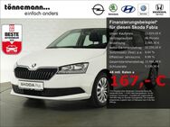 Skoda Fabia, COMBI COOL PLUS MPI, Jahr 2020 - Coesfeld