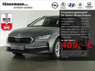 Skoda Octavia, COMBI SELECTION TDI, Jahr 2024 - Coesfeld