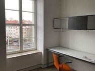 Helles und schön möbliertes Apartment am Bienertpark mit EBK, Waschmaschine, große zzl. ABK und PKW Stellplatz! - Dresden