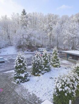 Naturnah Wohnen in Warstein Belecke - Warstein