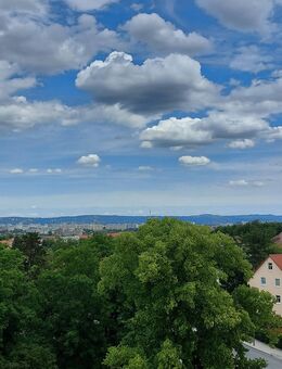Penthouse - mit Blick in die Innenstadt und 4 Dachterrassen - Dresden