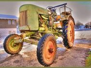 Tolles Blechschild Fendt Dieselross Traktor Landwirtschaft 20x30 cm - Berlin