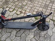 E - Scooter, 2 Jahre, top hergerichtet - Biederbach