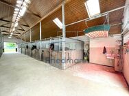 Exklusives Reiterparadies an der Luxemburger Grenze - Ihre private Reitanlage mit großem Wohnhaus - Niederweis