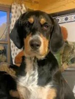 CASPER - ein vielversprechender Kerl - Regensburg