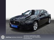 Jaguar XE, D180 SE, Jahr 2020 - Hildesheim