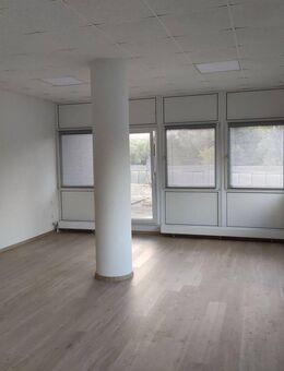 Apartment / 1 Zimmer, Kü, Bad/WC, frisch renoviert, hell - Kretzschau