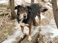 LEVA-liebevolle Familue gesucht - Mainhardt