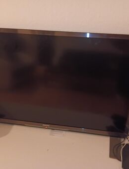 Philipps tv - Osthofen Zentrum