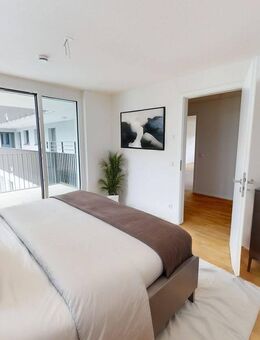 Nehmen Sie in der ersten Reihe Platz. - Neuenburg (Rhein)