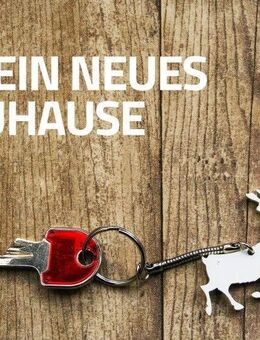 Weihnachten in den neuen 4 Wänden - Hier können Sie es sich gemütlich machen. - Pirna