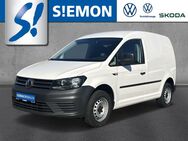 VW Caddy, 2.0 TDI Kasten EcoProfi, Jahr 2019 - Ibbenbüren