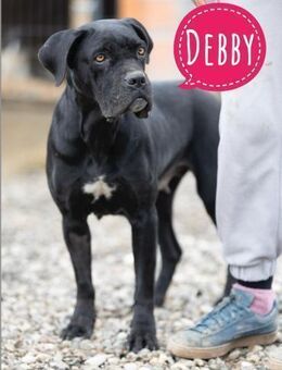 Debby eine richtige Knutschi-Mausi - Flörsheim-Dalsheim