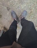 Verkaufe getragene Reithosen in 22549